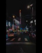 :)گربه نمک نشناس روباه حیله گر