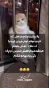 اینجا ایرانه 😂😂‌ ‌ ‌ ‌ ‌ ‌‌ ‌ ‌ ‌