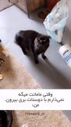 وقتی مامانم نمیزاره برم بیرون:😂 ‌‌ ‌ ‌ 