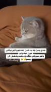 پسرا وقتی قهر میکنن:😂😂😂‌ ‌ ‌ ‌ ‌ ‌ ‌ ‌ ‌ ‌ ‌ ‌ ‌ ‌‌ 