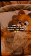 به قول گارفیلد:😂😂‌ ‌ ‌ ‌ ‌ ‌ ‌ ‌ ‌ ‌ ‌ ‌‌ ‌ ‌ ‌ 