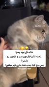 والا 😐🚶‍♀️