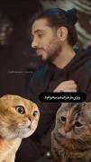 تا آخرش ببینین قشنگه🥹💜✨️‌‌‌‌‌‌