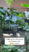 این، منو و توییم ¡‌‌‌‌‌‌‌‌‌‌‌‌‌