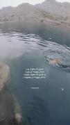 کسی که بخواد بره میره کسی که بخواد بمونه....