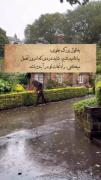 انسان با سختی هاست که قوی می شود