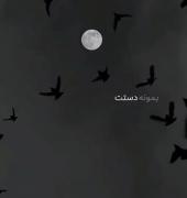 تو اون نگاه اول دلم از نگاهت یه چک خورد