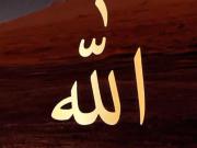 عشقیم ده آلله ❤️☝️☝️