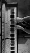 🎹🎶piano ‌‌‌‌‌‌‌‌‌‌‌‌‌‌‌‌‌‌‌‌‌