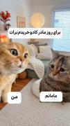 وقتی به مامانم میگم برات کادوی روز مادر خریدم😂 