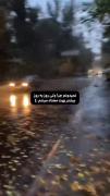نمدمنم‌چرا‌ولی‌روز‌به‌روز....؟