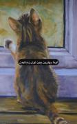 گربه ها... اونا بهترین چیز تو زندگیمن🐈