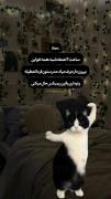 ولی ریمکسش خداسسسسس؛ ‌ ‌ ‌ ‌ ‌ 