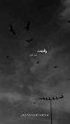 ‌‌یـہ‌زندگـے‌تاریڪ‌باآرزۅهاـے‌رنگـے🌑🫧 ‌‌