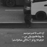 آره‌باصبر‌به‌همه‌چی‌میرسیم‌‌ولی...:)
