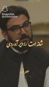 شانه ات را دیر آوردی...:))) 