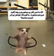 اره؟؟.. 😂
