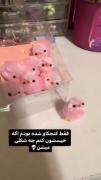 خب بیچاره فقط کنجکاو بوده 👻😂