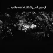 ¤......NOBODY IS COMING......¤