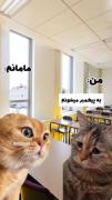 وقتی با مامانت حرف میزنی...... 