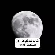 شاید نتونم هر روز ببینمت ولی هر روز دوست دارم