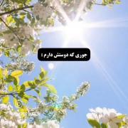 جوری ک دوستتتت دارمممممم🍷💞🖇️