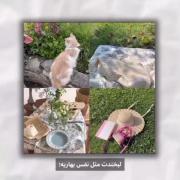جوری که اهنگش وایب خوبی میده >>>>>>>>