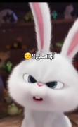 بفرس براش 🗿🔇🐈‍⬛🍷. .🤡😹