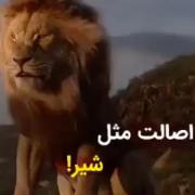 اصالت فقط شیر 👑❤️✌️ ‌‌‌‌‌‌‌‌‌‌