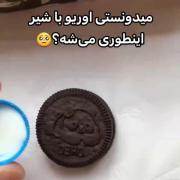 ــــــــــــــــــــــــــــــ