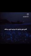 ولی تو قول داده بودی:)! ★ . 