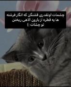 چشمات اونقدری قشنگن........... 