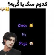 کدوم رو دوست داری تو کامنتا بگو (: