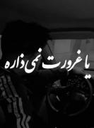 بی معرفت .....................