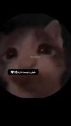 """""""""""""""""""""""""""""""""""""""""