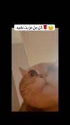 گل منو اذیت نکنید 😂..........