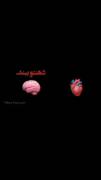 از مغز تا استخوان امروز زیر افکارم و کارات له شد...:)