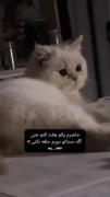 من همش خاضرم تو بغلتتت باشممم: