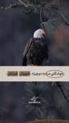 ذات آدمها رو زیاد میفهمم، و این آزارم میده.