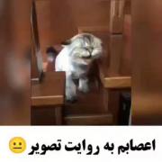 اعصابم به روایت تصویر: 