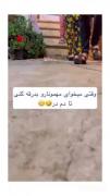 وقتی میخوای مهمونارو بدرقه کنی:😂‌‌‌‌‌‌‌‌‌‌‌‌ 