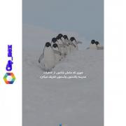 یعنی سم خالصه این فیلمه....،`.