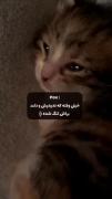 خیلی وقته ندیدیش و دلت براش تنگ شده:)💔