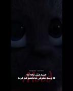 ؛؛؛؛؛؛؛؛؛؛؛؛(🍂🖤)؛؛؛؛؛؛؛؛؛؛؛؛؛