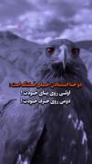 دو جا ایستادن خیلی قشنگه 