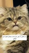 ۰۰۰‌‌‌‌‌‌‌‌‌‌‌‌‌‌‌‌‌‌‌‌‌‌‌‌‌‌‌‌‌‌‌‌‌‌‌‌‌‌‌‌