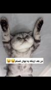 😹🤌🏻‌‌‌‌‌‌‌‌‌‌‌‌‌‌‌‌‌‌‌‌‌‌‌‌‌‌‌‌‌‌‌‌‌‌‌‌‌‌‌‌