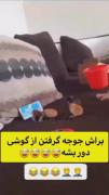 براش جوجه خریدن سرگرم بشه دیگه اینقدر سرشو تو گوشی نکنه🤣