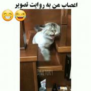 الکی دو روز که با رزان قهر نکردم بدون هیچ دلیل رفتم ولگردی 🤣