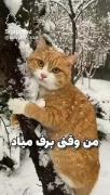 حکایت خیلی هاااااا🤣🤣🤣🤣🤣🦦🚬
